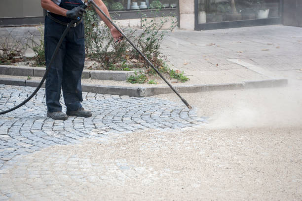 Professional Pressure Washing in Chandler, TX