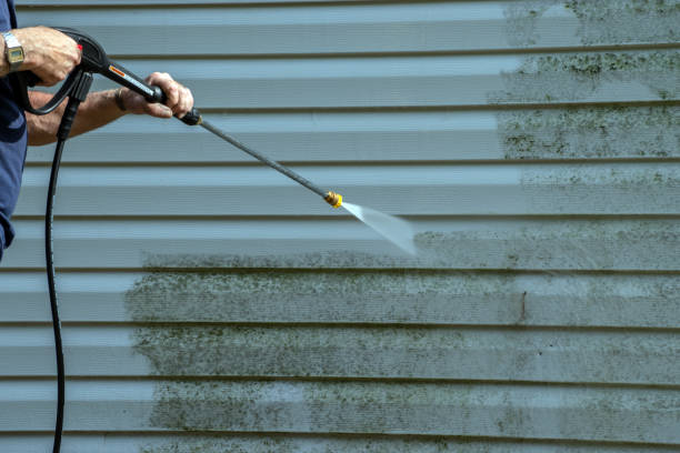Best Building Exterior Washing  in Chandler, TX